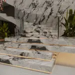 FN122735-9 1 BLACK AND WHITE ROOTS